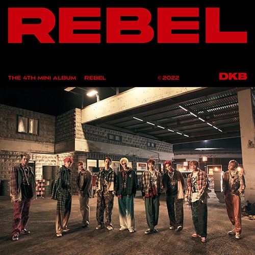 dkb-4th-mini-rebel.jpg